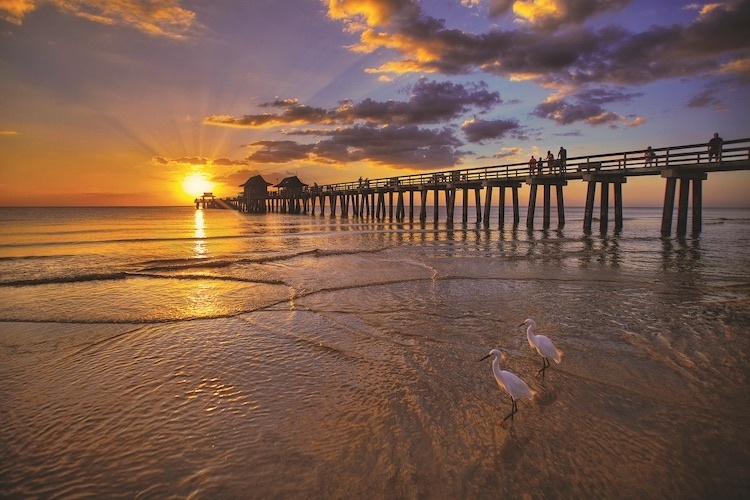 Enjoy picturesque weather on a beautiful beach in Naples Florida.