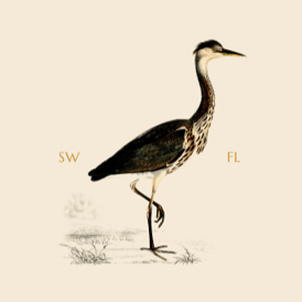 Bird Image Careers-1