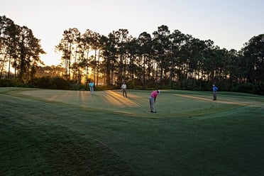 Golfing in Sarasota Florida