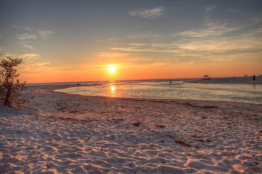 8 Top Beaches to Explore in Southwest Florida