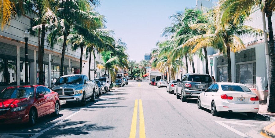 florida street palm trees sun blue sky-1