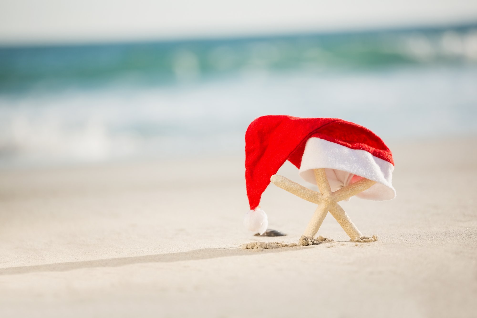 starfish-covered-with-santa-hat-kept-sand