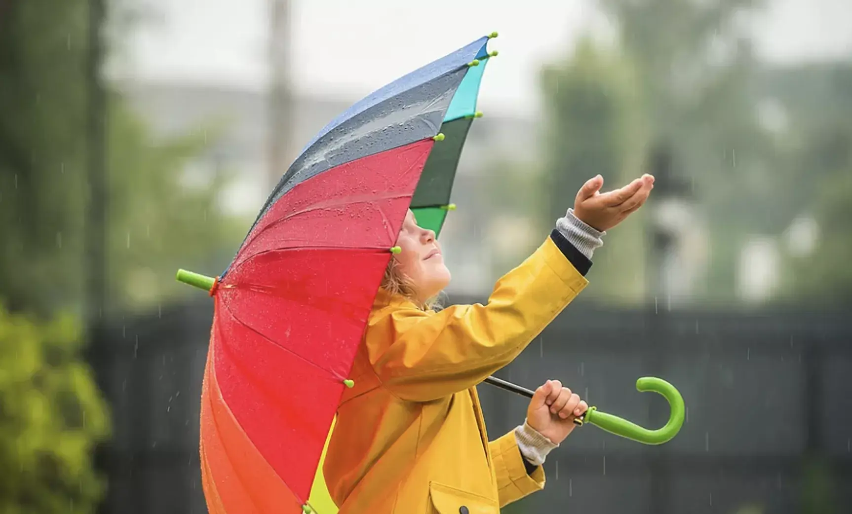 Rainy Day Activities in Naples, Florida